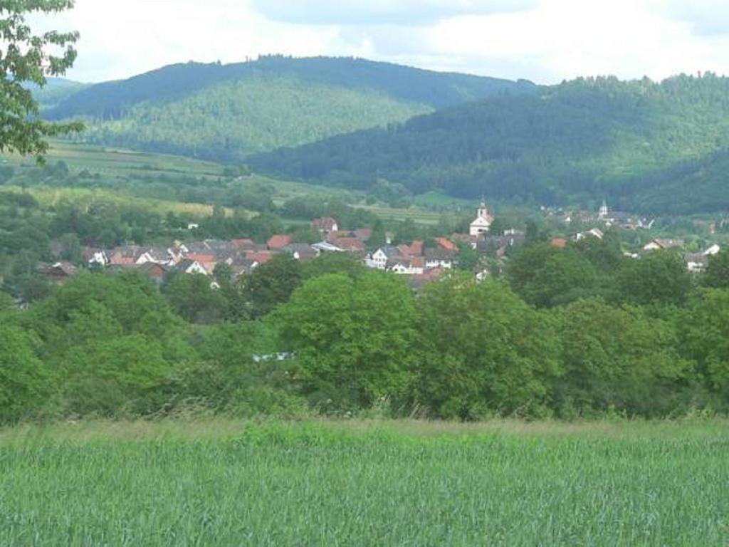 Ferienwohnung Storchenblick Herbolzheim Chambre photo
